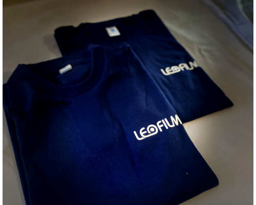 Remera JERSEY ENTALLADA