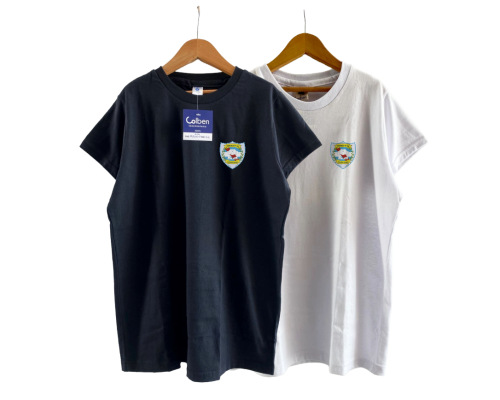 Remera JERSEY ENTALLADA