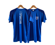 Camiseta ENTRENAMIENTO